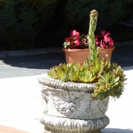 Fábiánics Kastély Misefa