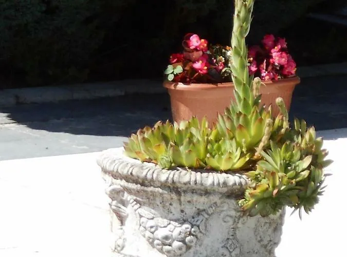 Fabianics Kastely Misefa